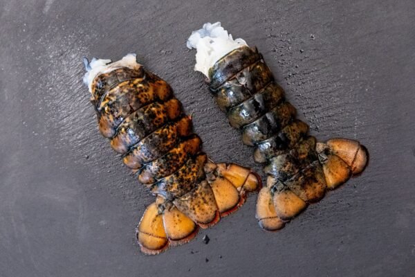 Hummerschwänze mit Schale – Bild 3