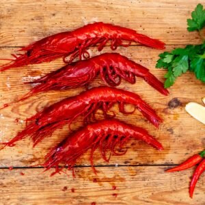 Carabineros