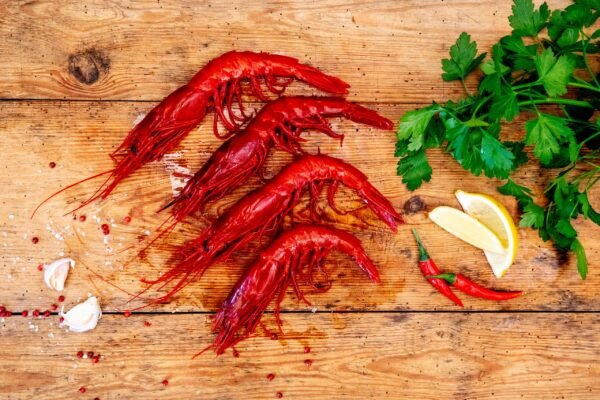 Carabineros – Bild 3